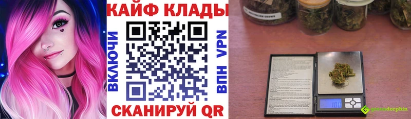 Где можно купить наркотики Фрязино Псилоцибиновые грибы  Cocaine  Гашиш  Бошки Шишки  Alpha-PVP  Амфетамин 