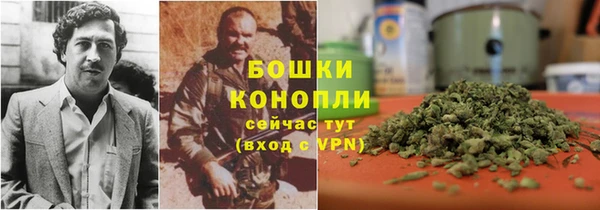 стафф Козельск