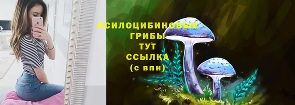 трава Кодинск