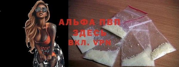 стафф Козельск