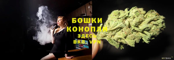 трава Кодинск