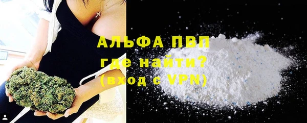 стафф Козельск