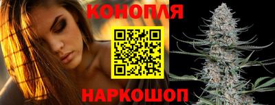 Альфа ПВП Можайск