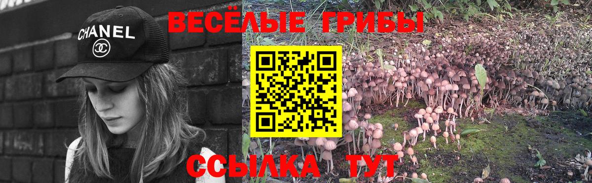 Галлюциногенные грибы мицелий Фрязино