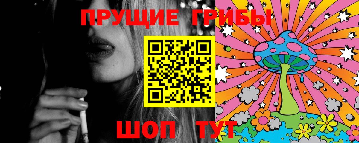 Галлюциногенные грибы Psilocybine cubensis  Фрязино 