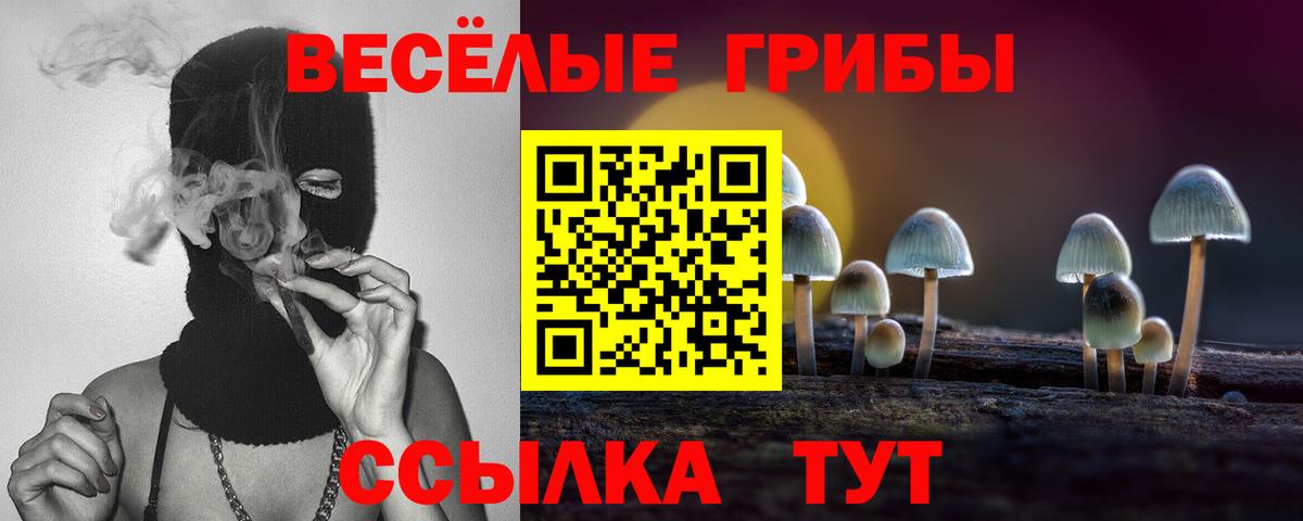 Галлюциногенные грибы мухоморы  где продают наркотики  Фрязино  Вход с VPN  Псилоцибиновые грибы мицелий 