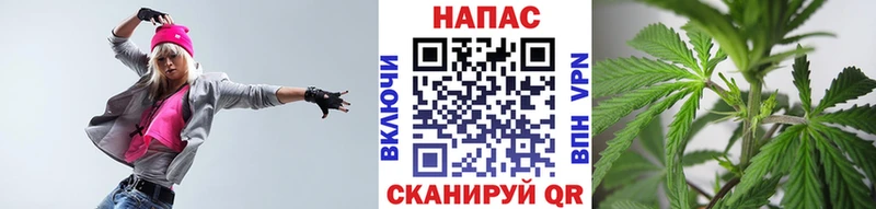 купить наркотик Фрязино Бошки марихуана семена
