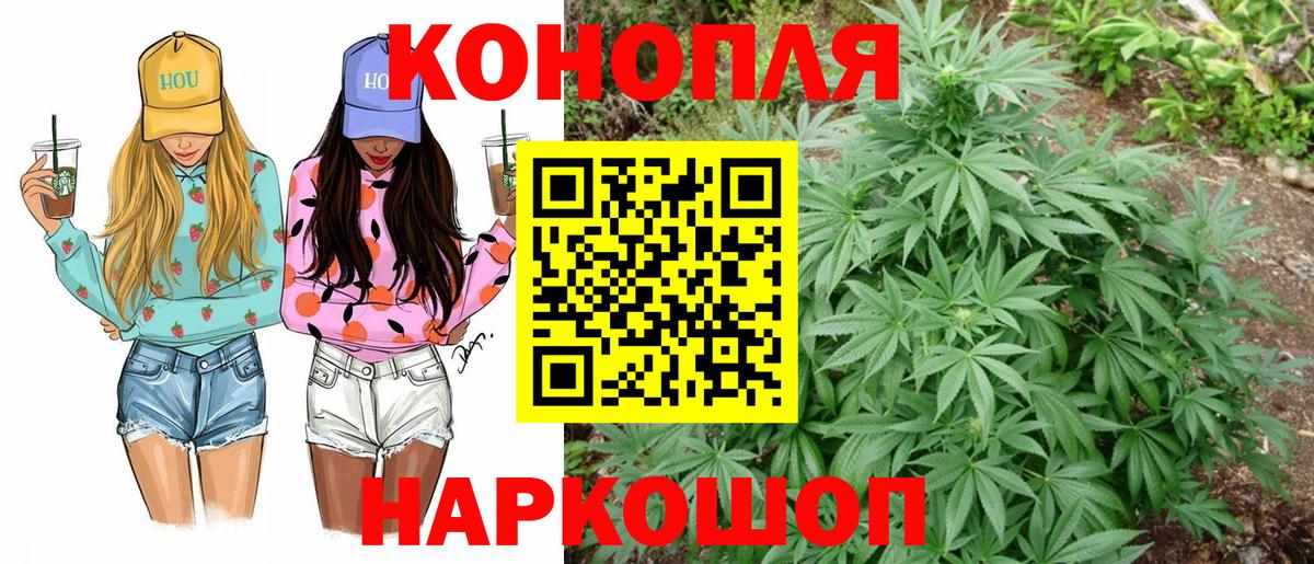 Шишки марихуана OG Kush  МАРИХУАНА тримм  Фрязино  Шишки марихуана MAZAR 